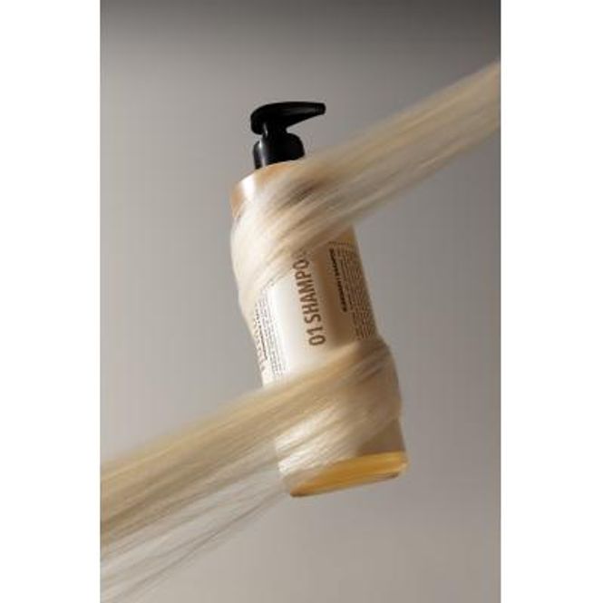 Hovedbilde Shampoo 500 ml