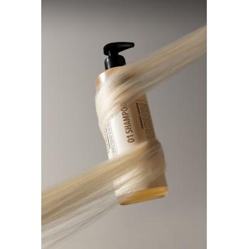 Shampoo 500 ml